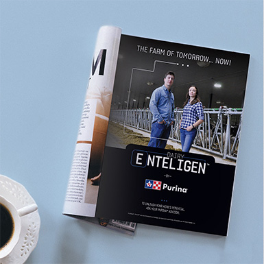 inteligen