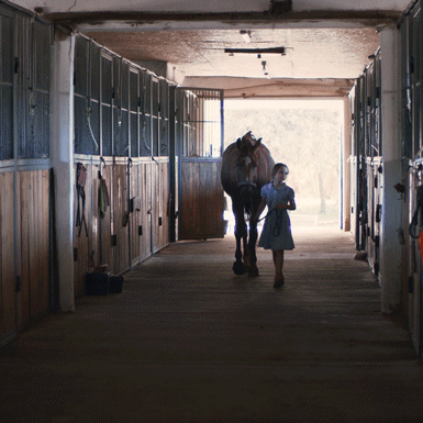 CAR GLOBAL Video2023 Nourish the Bond 1080x1080 10sec NoAudio 1 1